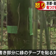 Image for article titled Tourists Are Ruining Kyoto's Scenic Beauty